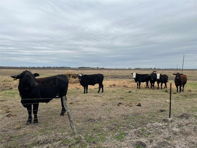 13315 Zamanek Rd, Needville, TX 77461 - photo 16