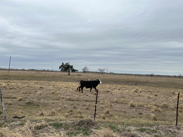 13315 Zamanek Rd, Needville, TX 77461 - photo 18