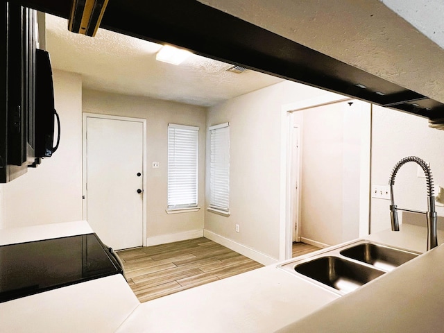 21510 N Tangle Creek Ln, Spring, TX 77388 - kitchen featuring a sink, wood finished floors, baseboards, and a textured ceiling