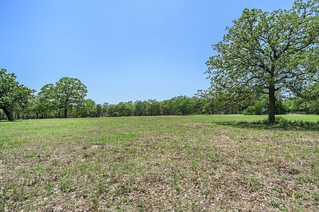 4638 Red Hollow Ln, Smithville, TX 78957