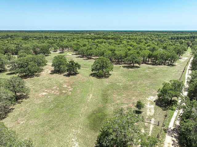 4638 Red Hollow Ln, Smithville, TX 78957