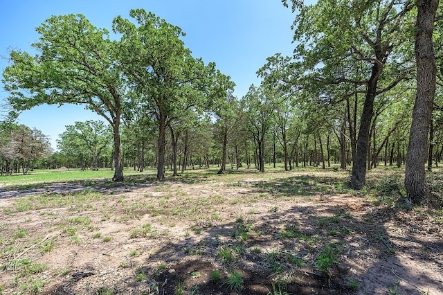 4638 Red Hollow Ln, Smithville, TX 78957