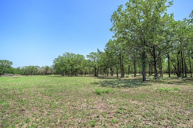 4638 Red Hollow Ln, Smithville, TX 78957