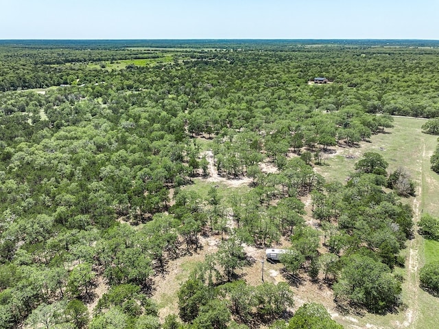 4638 Red Hollow Ln, Smithville, TX 78957