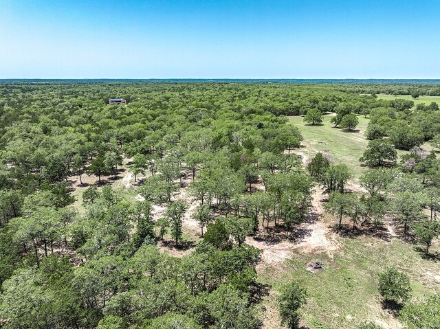 4638 Red Hollow Ln, Smithville, TX 78957