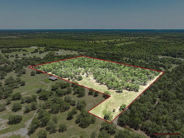4638 Red Hollow Ln, Smithville, TX 78957