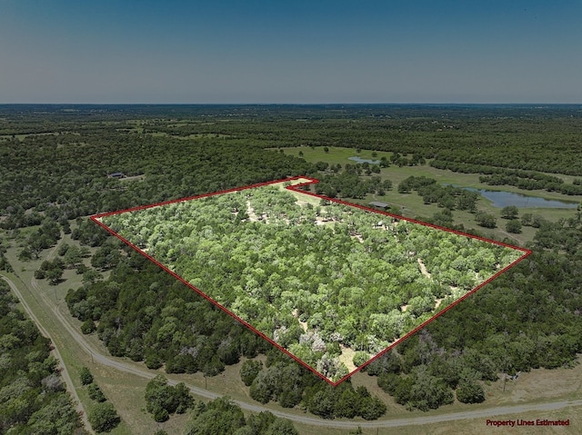 4638 Red Hollow Ln, Smithville, TX 78957