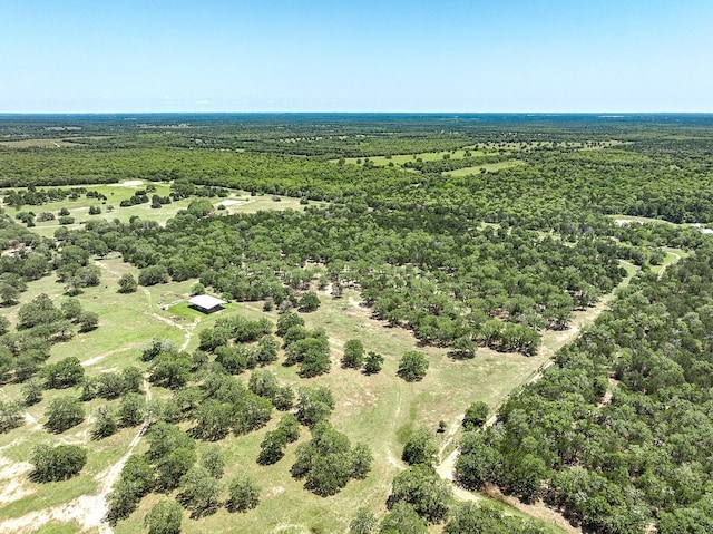 4638 Red Hollow Ln, Smithville, TX 78957