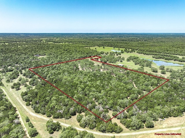 4638 Red Hollow Ln, Smithville, TX 78957