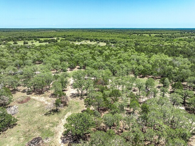 4638 Red Hollow Ln, Smithville, TX 78957