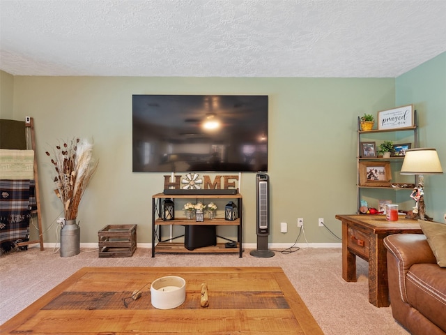 11823 Elizabeth Ct, Pinehurst, TX 77362 - living area with carpet flooring, a textured ceiling, and baseboards