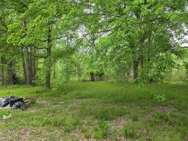 15 Caney Ct, Huntsville, TX 77320 - photo 8