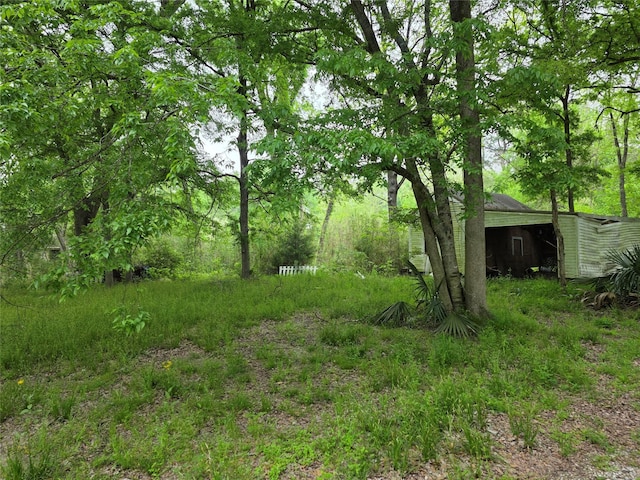 15 Caney Ct, Huntsville, TX 77320 - photo 4