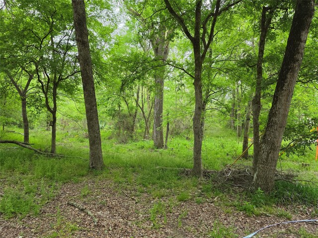 15 Caney Ct, Huntsville, TX 77320 - photo 6