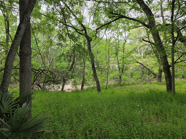 15 Caney Ct, Huntsville, TX 77320 - photo 9