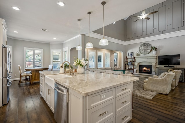 20103 Kirkstone Terrace Ct, Spring, TX 77379 - kitchen with appliances with stainless steel finishes, a sink, a ceiling fan, a lit fireplace, and dark wood-style flooring