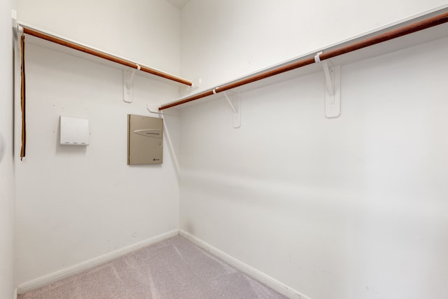 10446 Antelope Aly, Missouri City, TX 77459 - walk in closet with carpet flooring