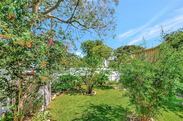 2608 Ursuline St, Galveston, TX 77550 - view of green lawn