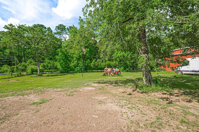 30926 Hilltop Ln, Magnolia, TX 77354 - view of grassy yard