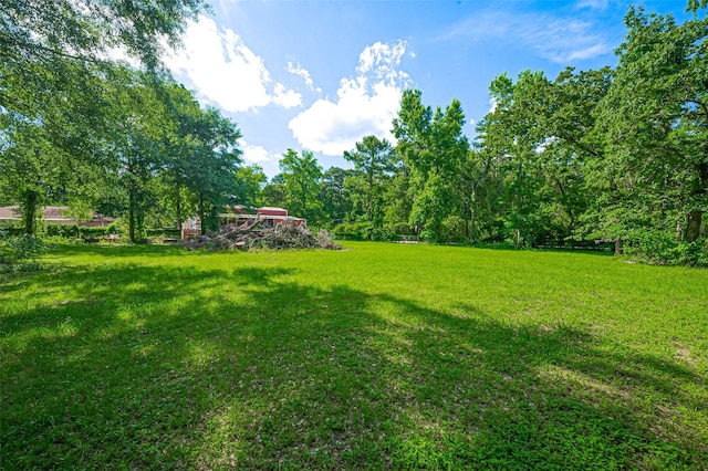 30926 Hilltop Ln, Magnolia, TX 77354 - view of green lawn