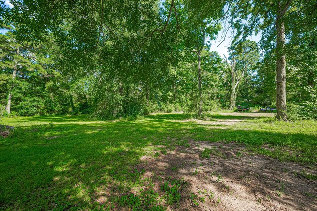 30926 Hilltop Ln, Magnolia, TX 77354 - view of green lawn