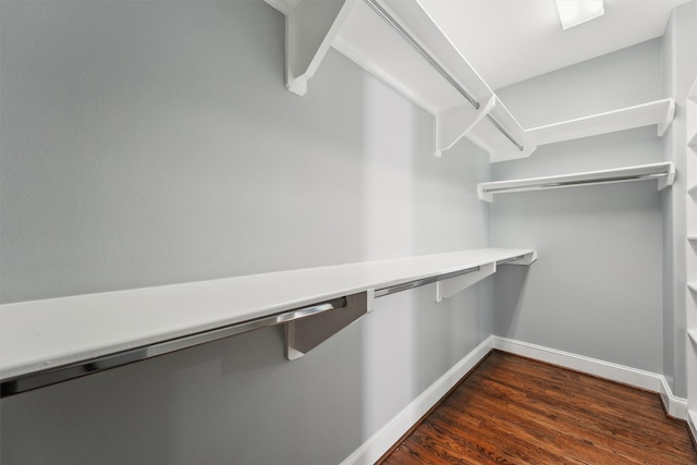 3302 Audley St Unit 110, Houston, TX 77098 - walk in closet with dark wood finished floors
