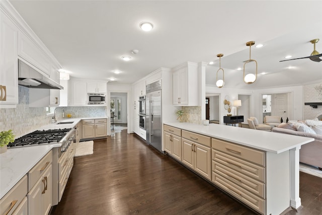 kitchen with built in appliances, a sink, under cabinet range hood, a peninsula, and decorative backsplash