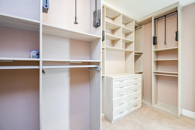 5450 Pudman River Ln, Sugar Land, TX 77479 - walk in closet with light colored carpet