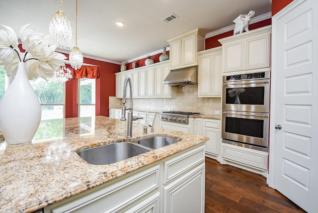 5450 Pudman River Ln, Sugar Land, TX 77479 - kitchen featuring appliances with stainless steel finishes, a sink, ventilation hood, a chandelier, and crown molding