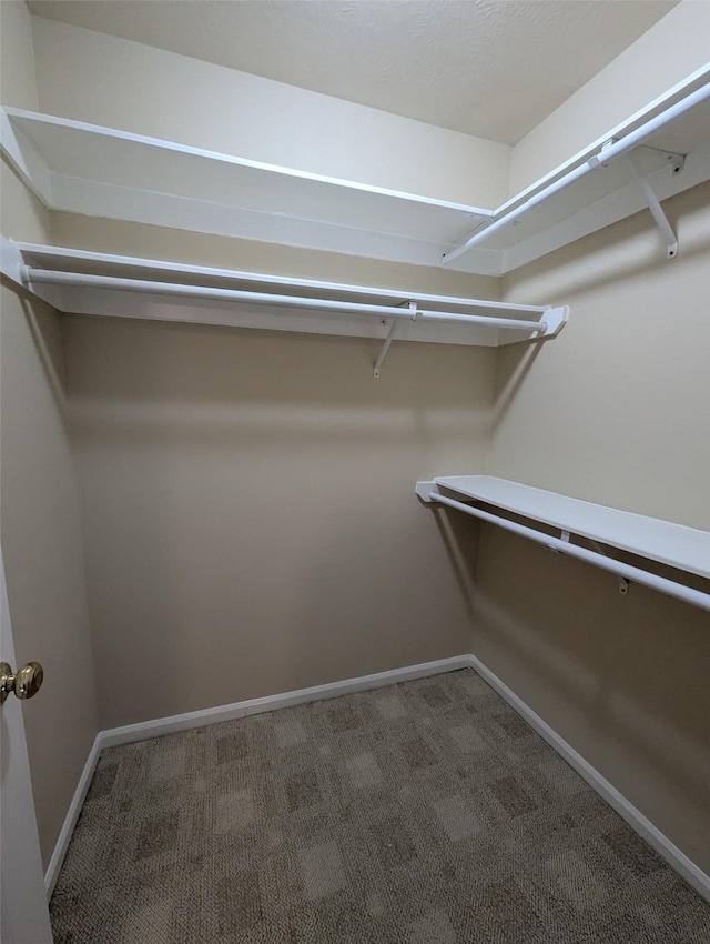 walk in closet with carpet