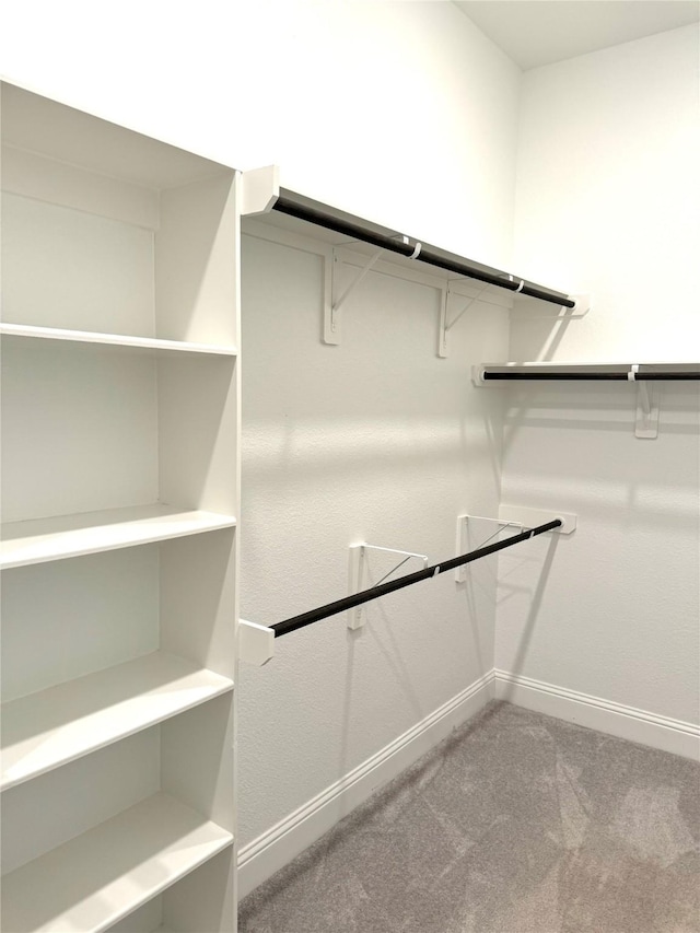 1215 Tallow Park Ln, Pinehurst, TX 77362 - walk in closet featuring carpet floors