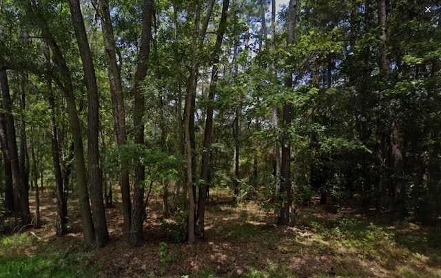20119 Belleau Wood Dr, Houston, TX 77338