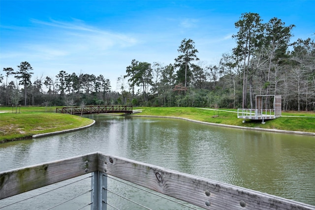 10066 Preserve Way, Conroe, TX 77385 - surrounding community with a water view, view of scattered trees, and a lawn
