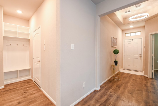 14923 Cutleaf Ln, Cypress, TX 77429 - foyer with wood finished floors, recessed lighting, and a raised ceiling
