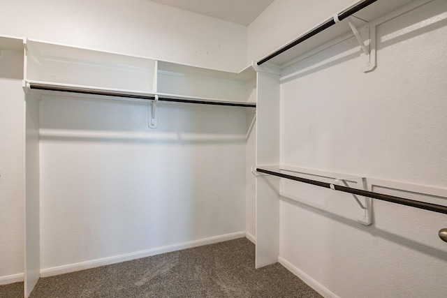 14923 Cutleaf Ln, Cypress, TX 77429 - spacious closet with carpet flooring