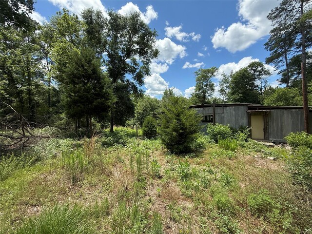 TBD Road 2734, Cleveland, TX 77327