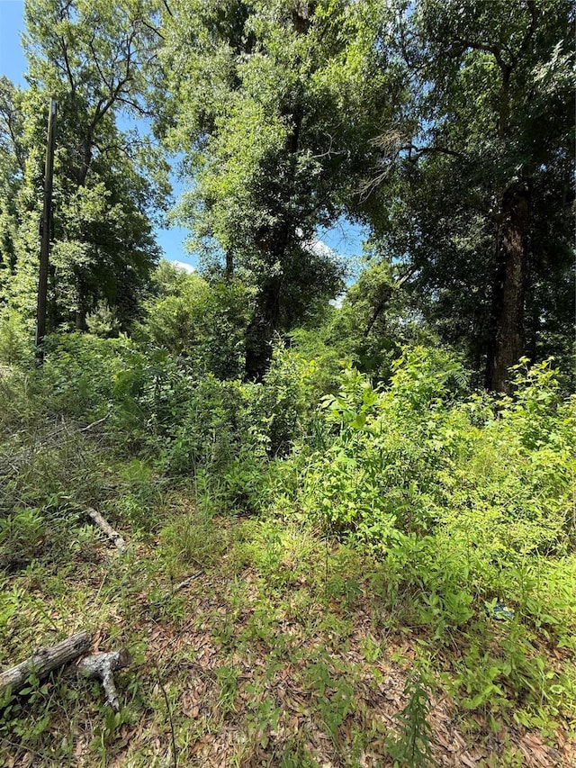 252 Rd 2723, Cleveland, TX 77327