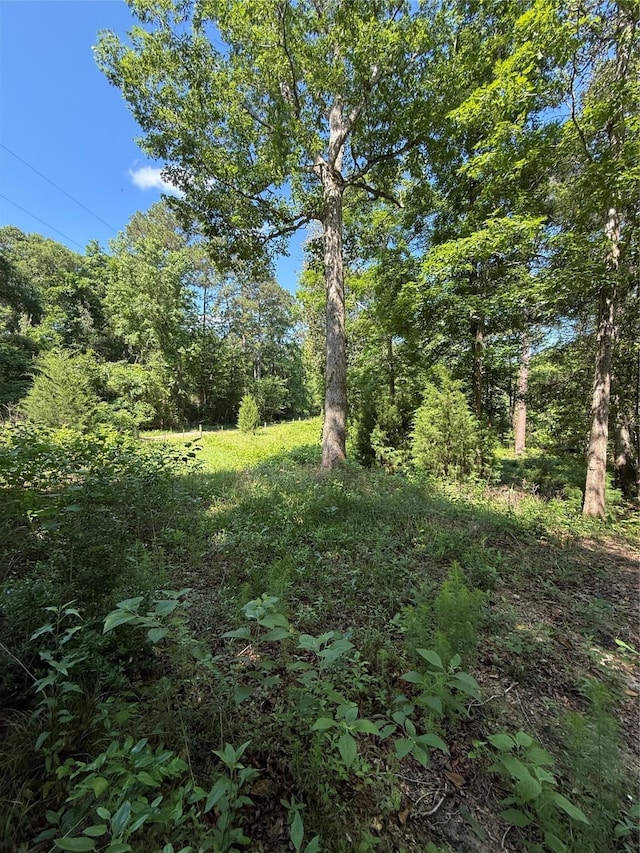 494 Rd 2723, Cleveland, TX 77327