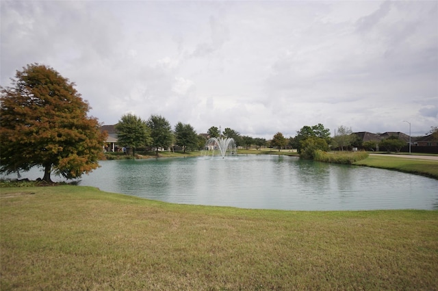 3411 Hawkins Glen Ln, Katy, TX 77449 - water view