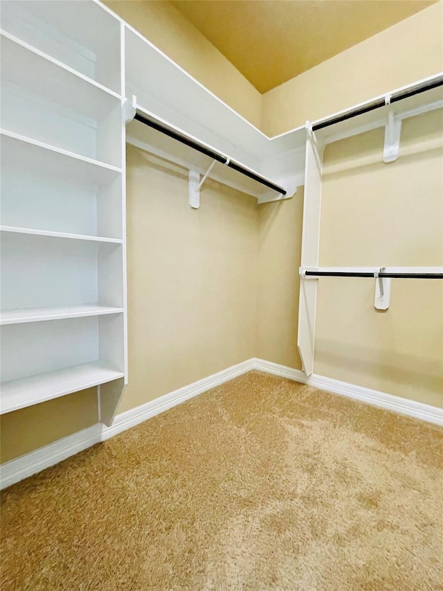 3411 Hawkins Glen Ln, Katy, TX 77449 - walk in closet with carpet floors