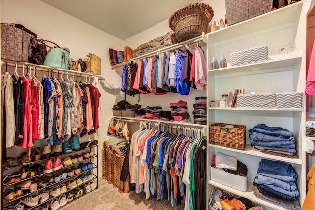 12917 S Winding Pines Dr, Tomball, TX 77375 - walk in closet with carpet floors