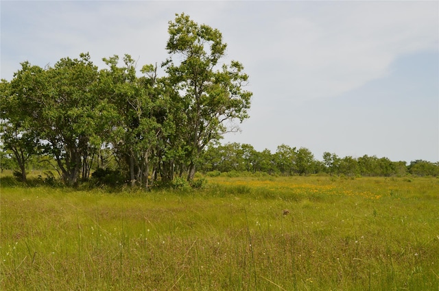 33061/2 Barbers Hill Rd, Highlands, TX 77562 - photo 1