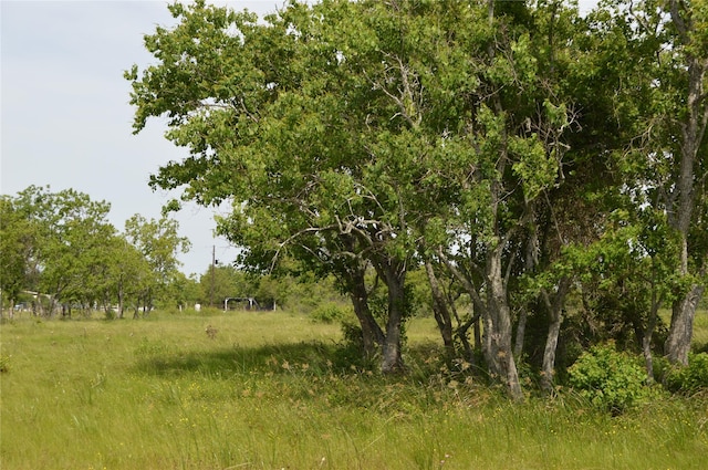 33061/2 Barbers Hill Rd, Highlands, TX 77562 - photo 4