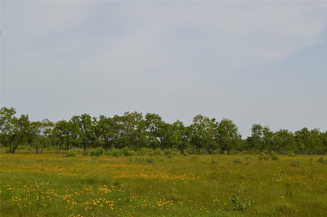 33061/2 Barbers Hill Rd, Highlands, TX 77562 - photo 5
