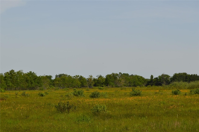 33061/2 Barbers Hill Rd, Highlands, TX 77562 - photo 6