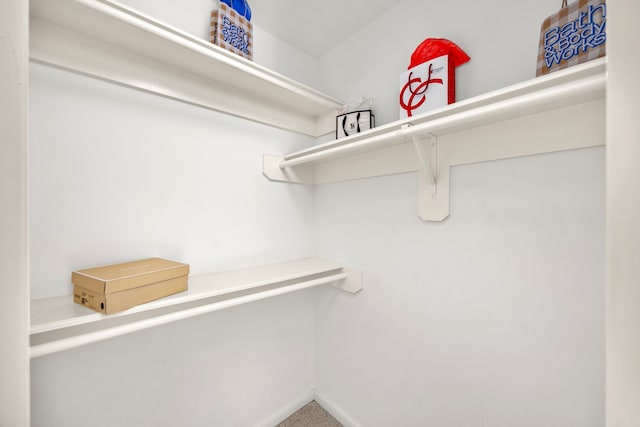 4402 Chipping Ct, Sugar Land, TX 77479 - view of spacious closet