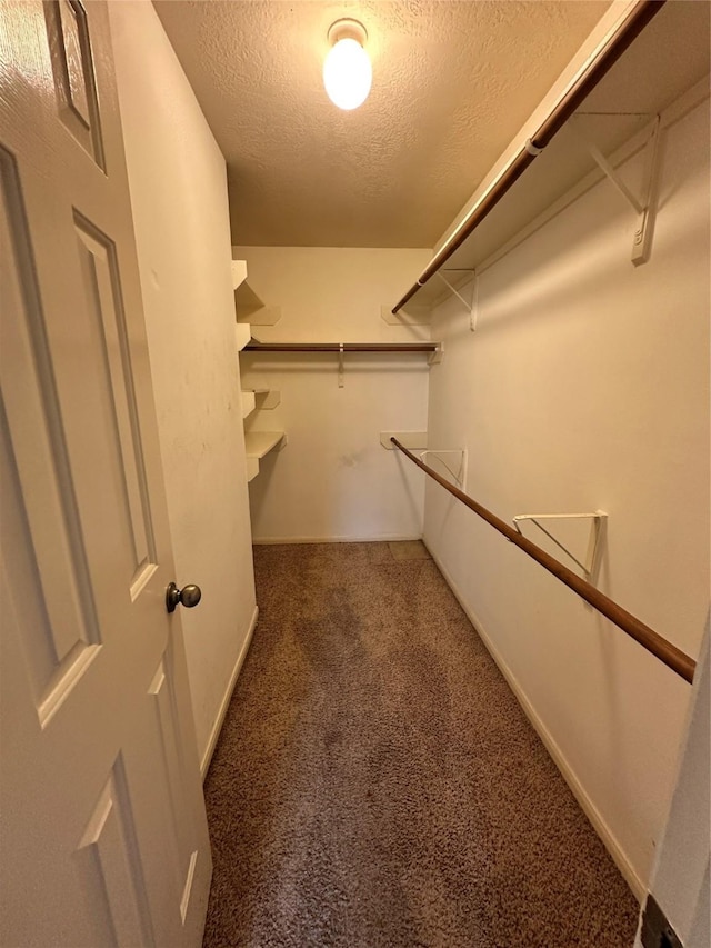 6723 Highwind Bend Ln, Katy, TX 77449 - walk in closet with carpet floors