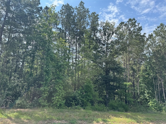 15810 Ridge Rock Rd, Willis, TX 77378