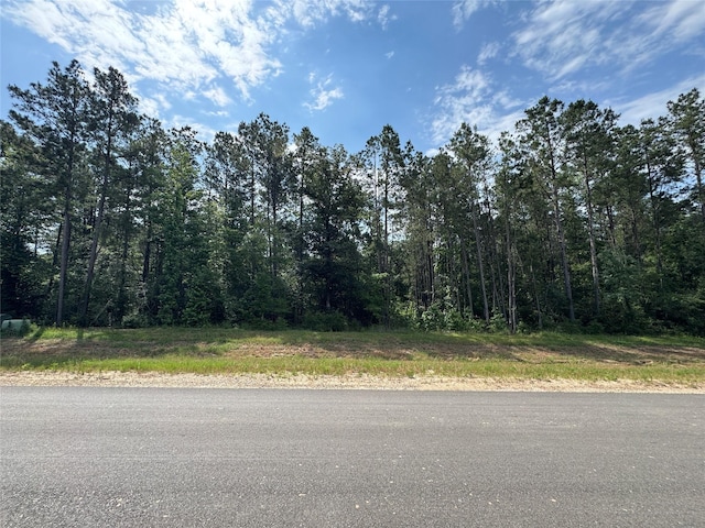15810 Ridge Rock Rd, Willis, TX 77378