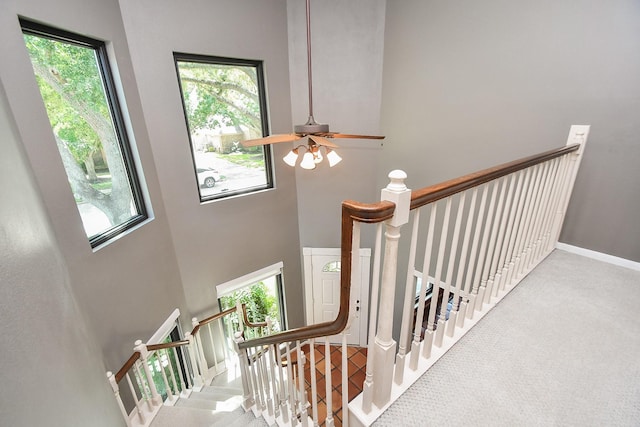 1023 Goldfinch Ave, Sugar Land, TX 77478 - stairs featuring healthy amount of natural light, a ceiling fan, baseboards, a high ceiling, and carpet flooring